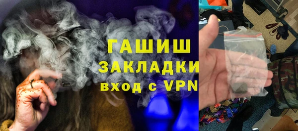 шишки Абаза