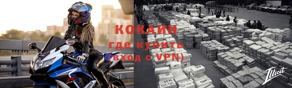 шишки Абаза